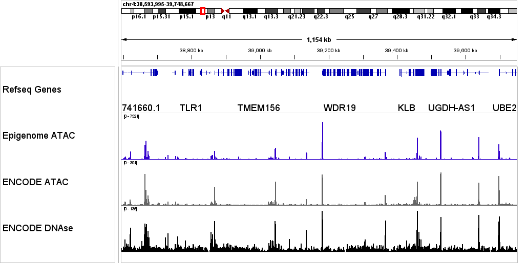 Genome browser comparison of Epigenome Technologies ATAC-seq peaks versus ENCODE DNase-seq benchmark tracks