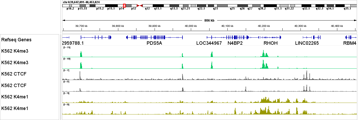 CUT&Run multi-target tracks in K562 cells