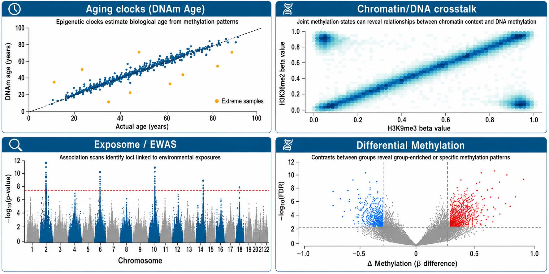 CUT&TAPS applications: targeted methylation profiling at histone-marked or TF-bound loci, chromatin-state-specific methylation analysis, and single-cell methylation studies