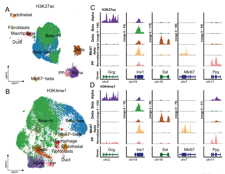 Figure from Wang et al., showing Paired-Tag UMAP embeddings in pancreatic islets.