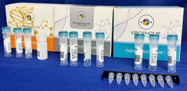 Epigenome Technologies kit packaging