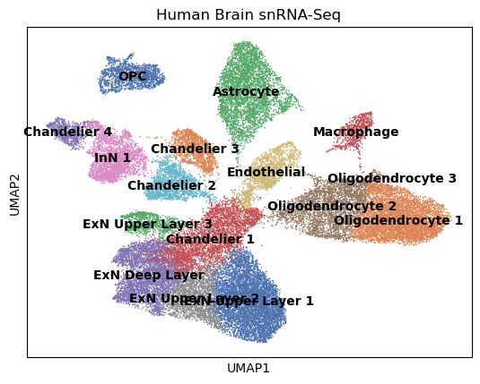 Single-Cell RNA-seq