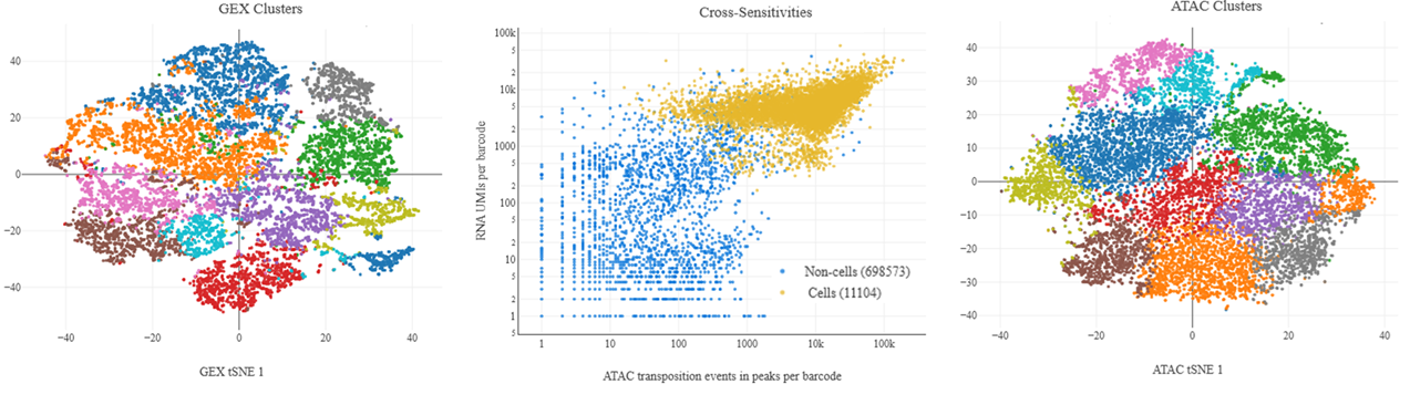 Pairwise correlation showing RNA-ATAC concordance across genes and regulatory elements, along with UMAP embeddings