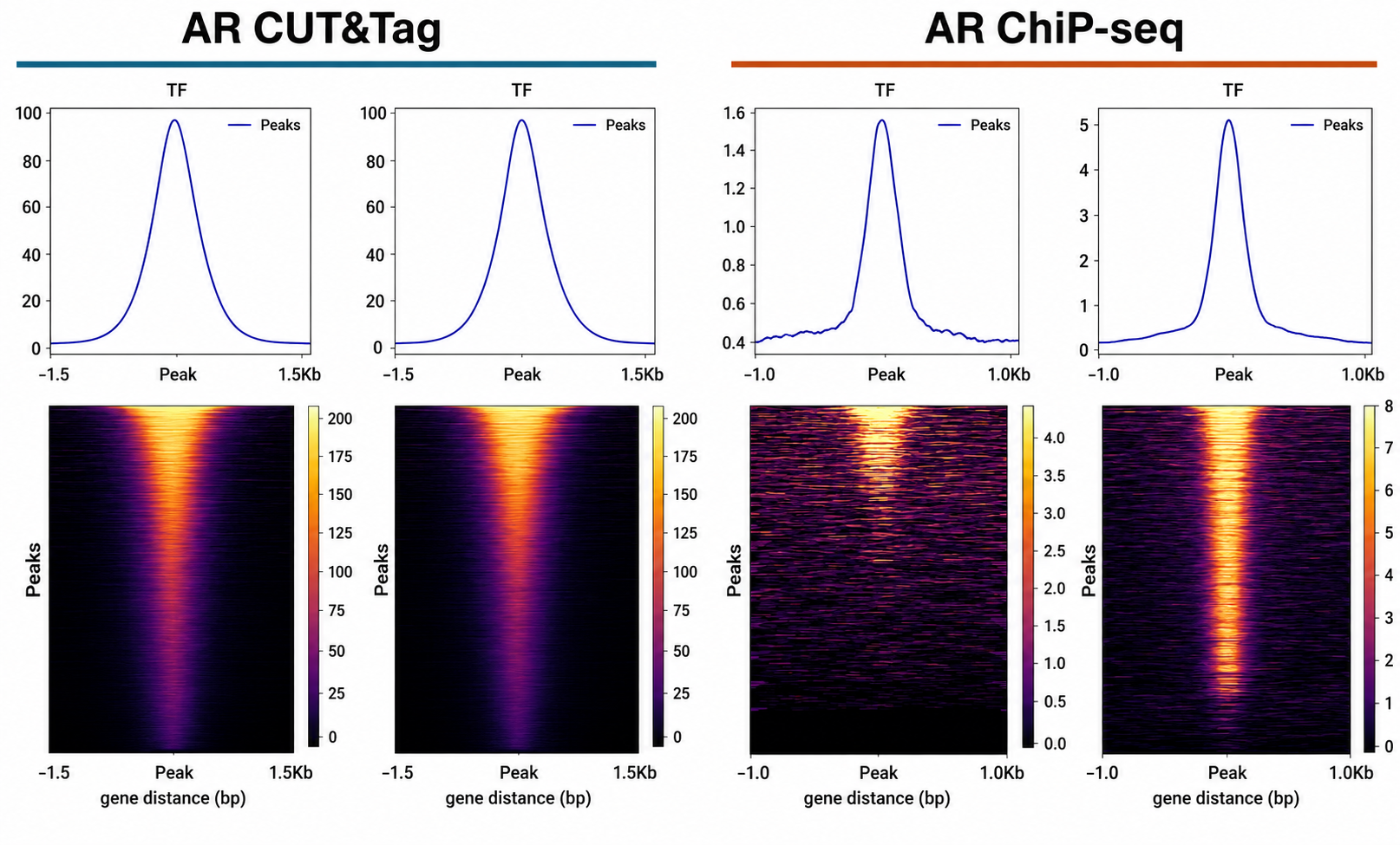 DeepTools heatmaps comparing TF enrichment in ChIP versus CUT&Tag