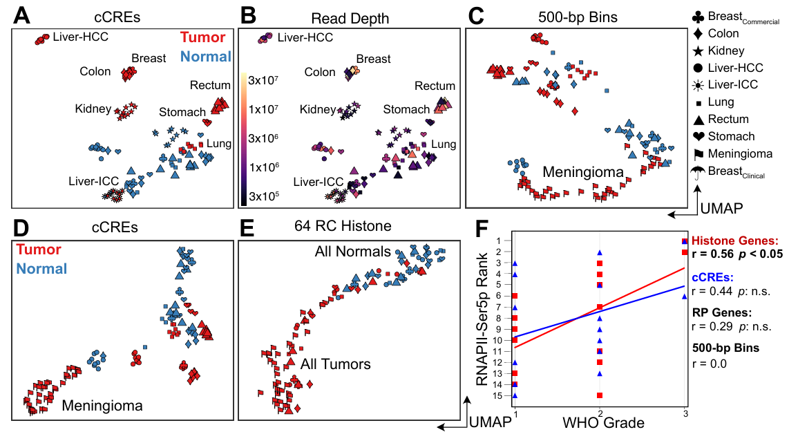 UMAP embeddings and WHO grade correlation plot.