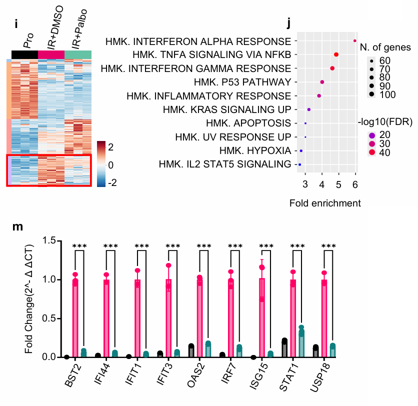 Part of Figure 2 from Rajesh, et al.