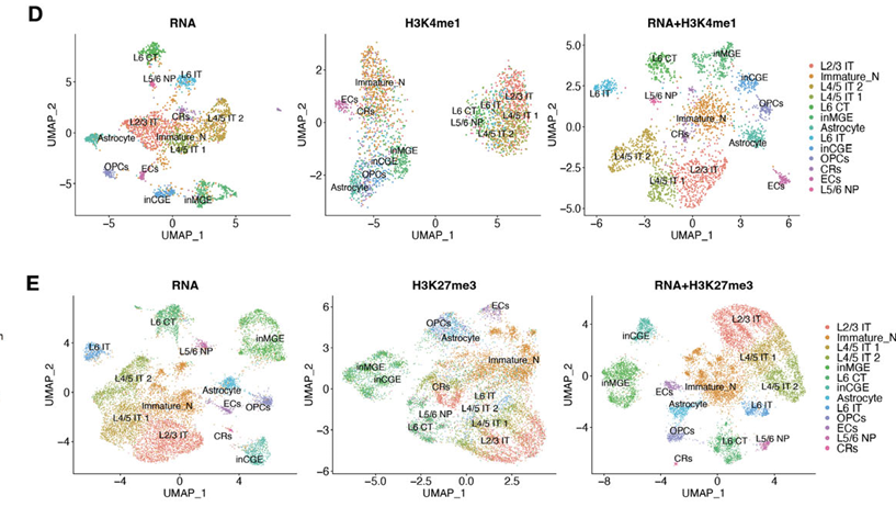 Figure 1 from Chen, et al.