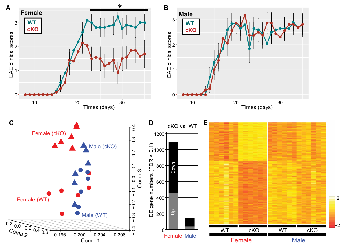 Sex-bias in Multiple Sclerosis: Is There an Epigenetic Reason?