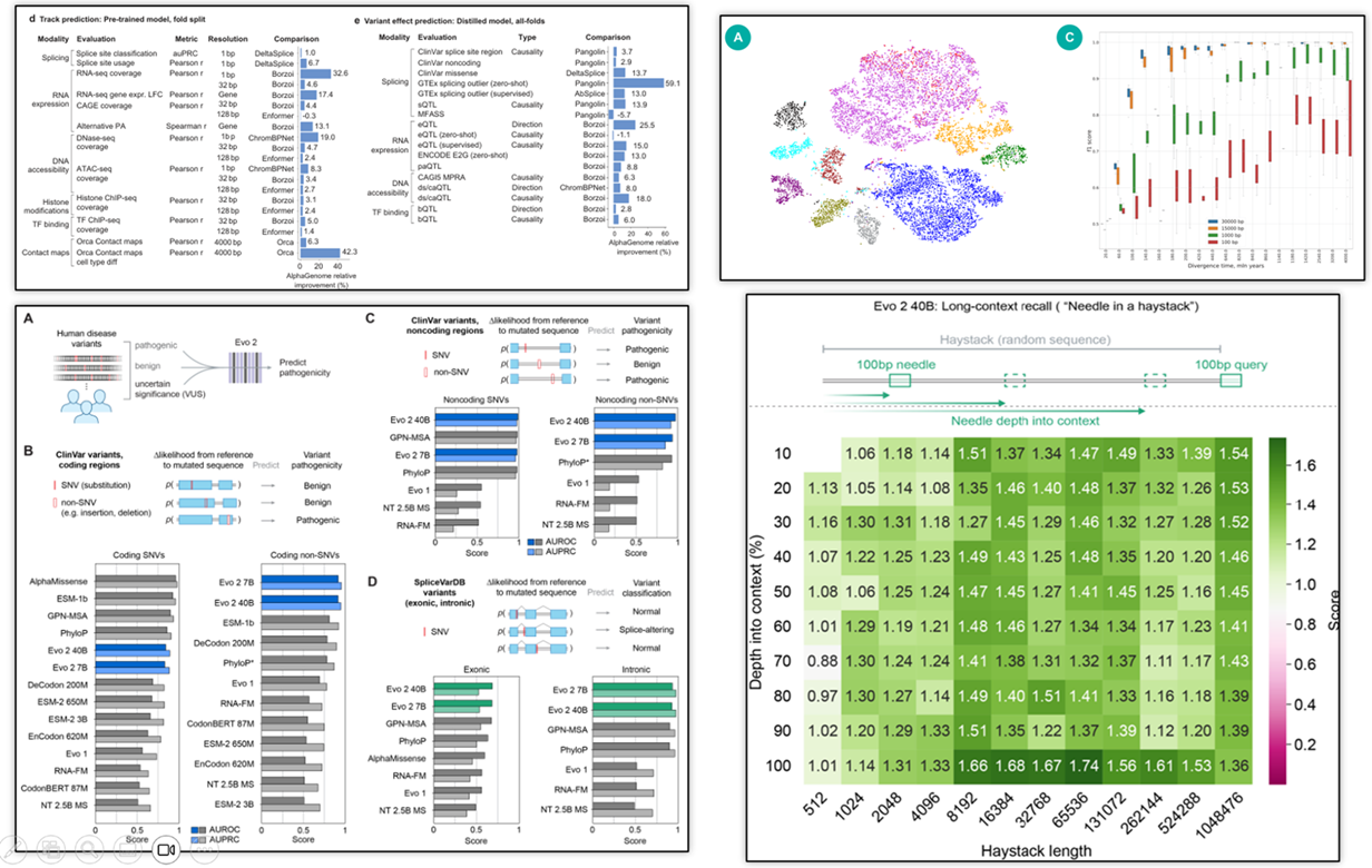 Multi-panel image showing detailed benchmarks of multiple foundation models