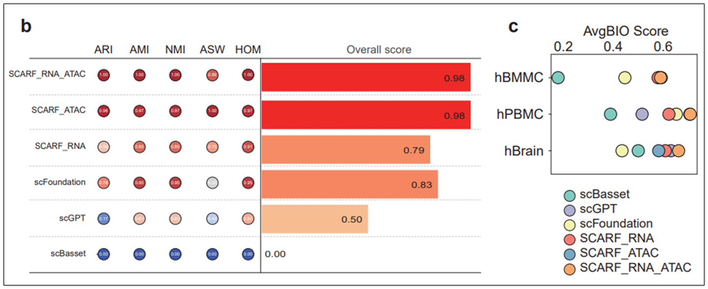 Figure showing overall clustering metrics across single-cell foundation models