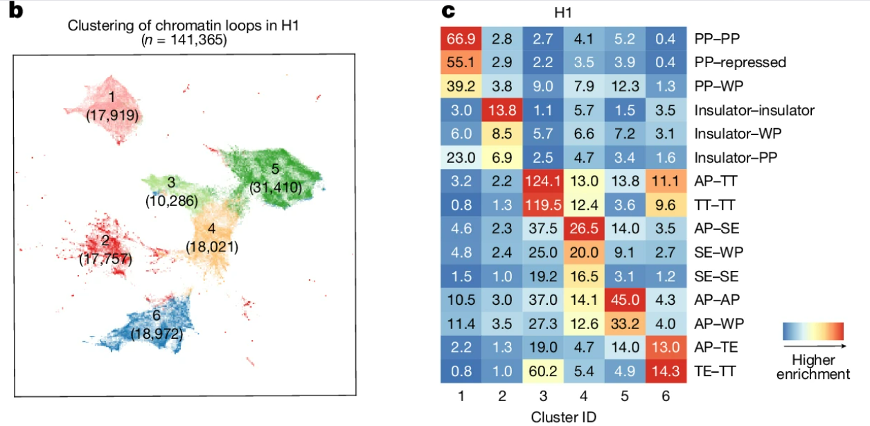2-dimensional embedding plot with cluster colors