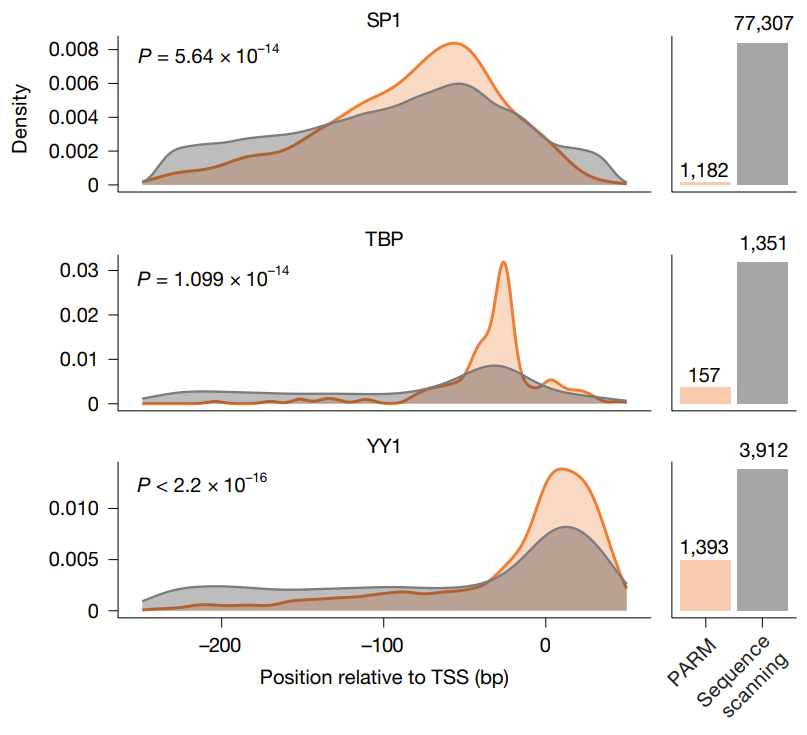 Distribution plot of TSS distance for TF motifs depending on whether they are present or important