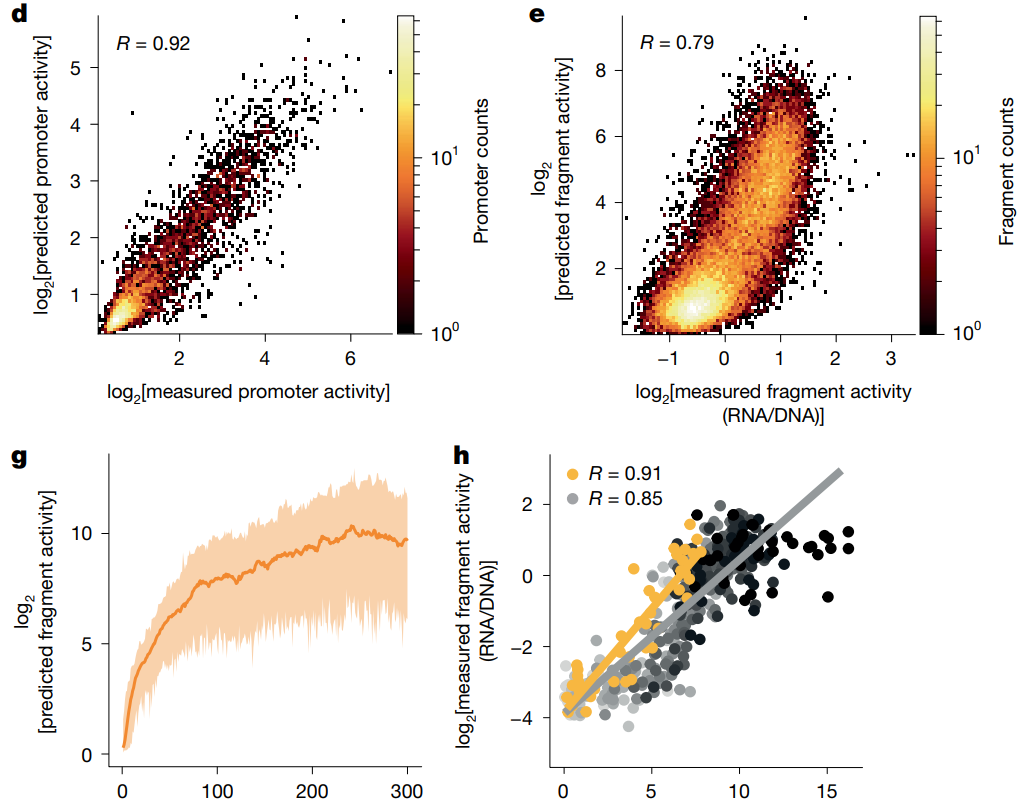 Scatterplots of predicted and observed promoter sequence activity