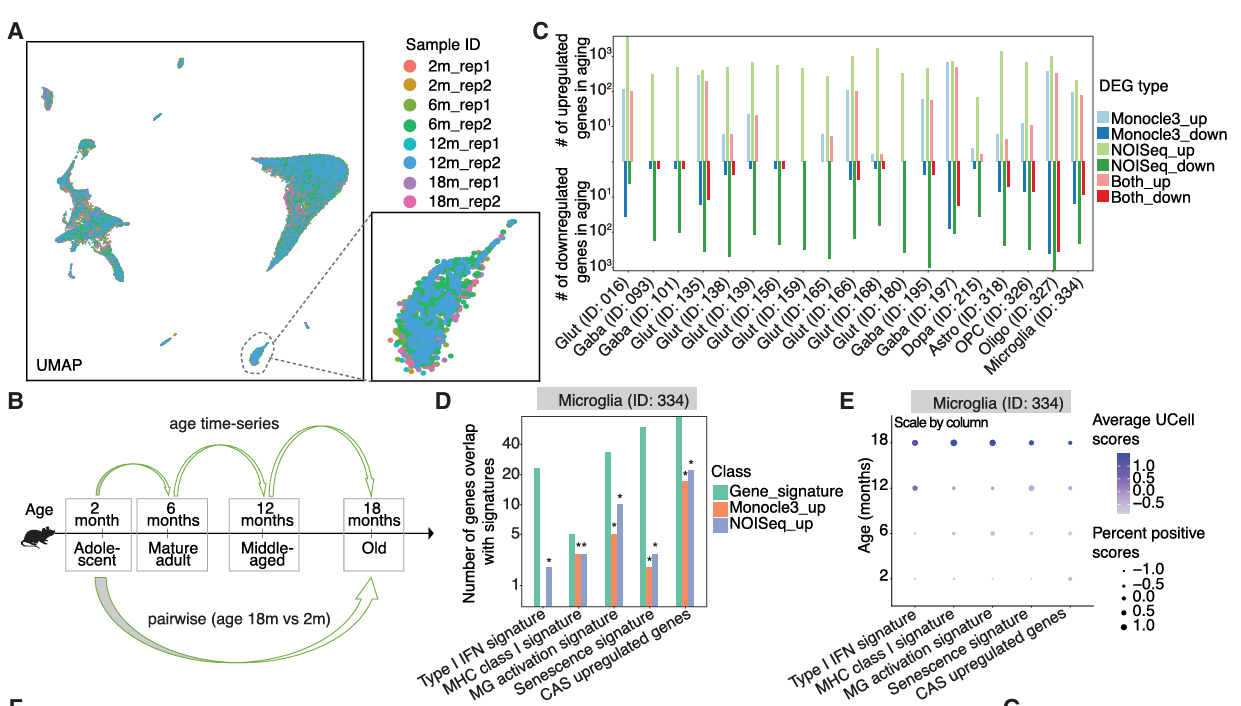 Multi-panel figure showing cell embeddings and age trajectories