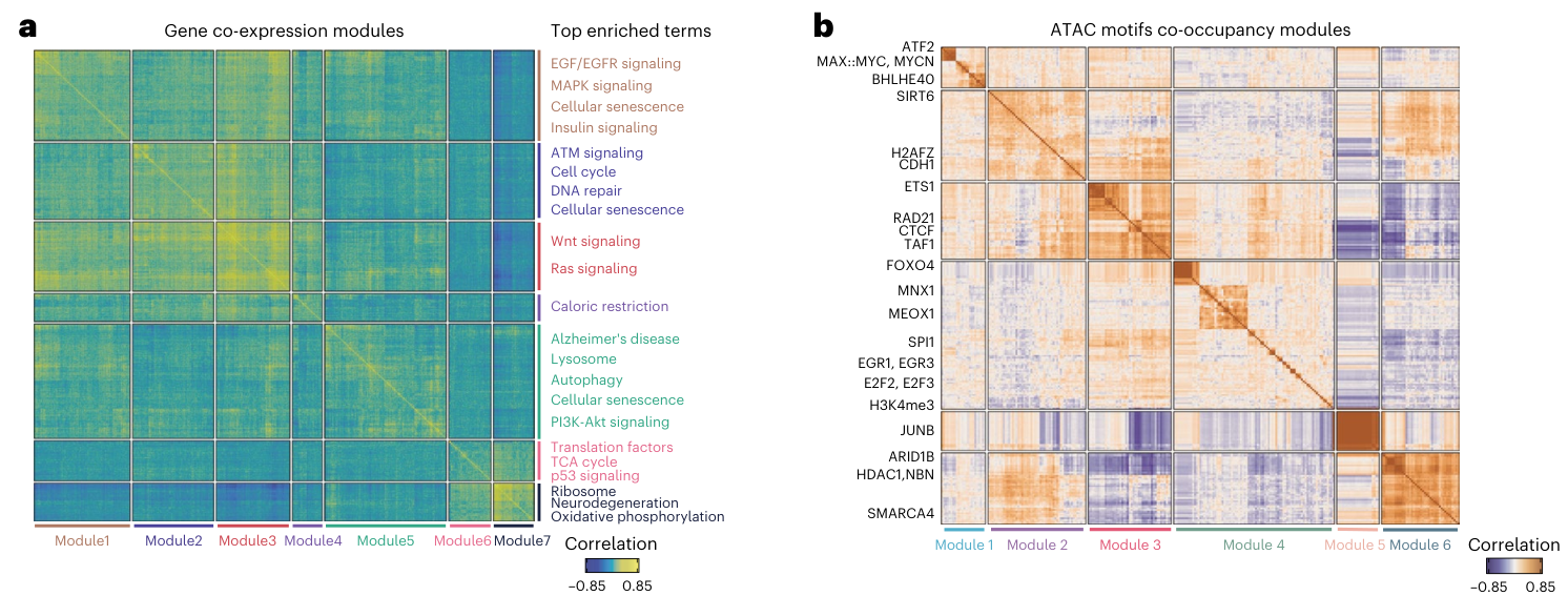 Multi-panel figure showing co-expression and co-accessibility heatmaps drawn from multiome-perturbation data