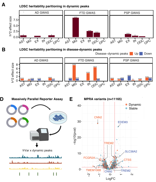 Multi-panel figure showing heritability enrichment in DA peaks, as well as MPRA results