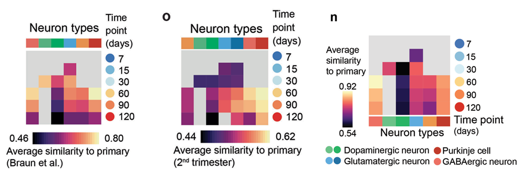 Multi-panel figure showing moderate similarity of neuronal cell types from organoids to natural cell types