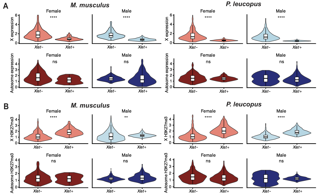 Multi-panel image showing gene expression and H3K27me3 presence in X+/X- cells